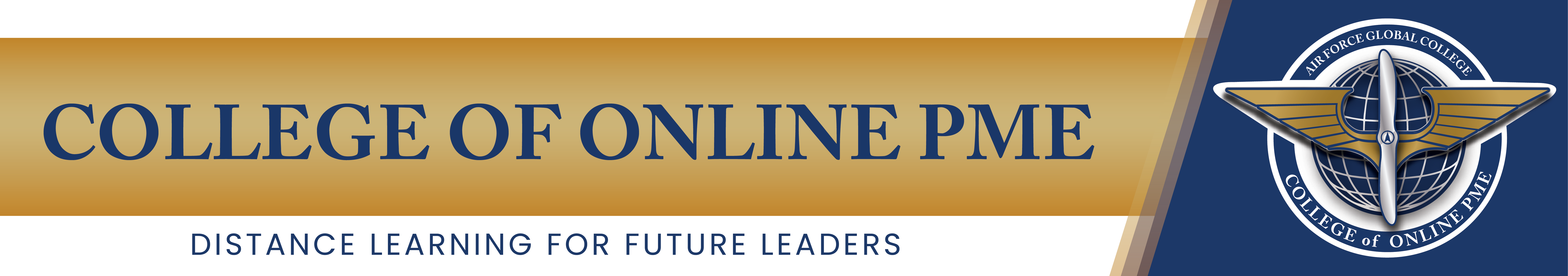 College Of Distance Learning PME college-of-distance-learning-pme